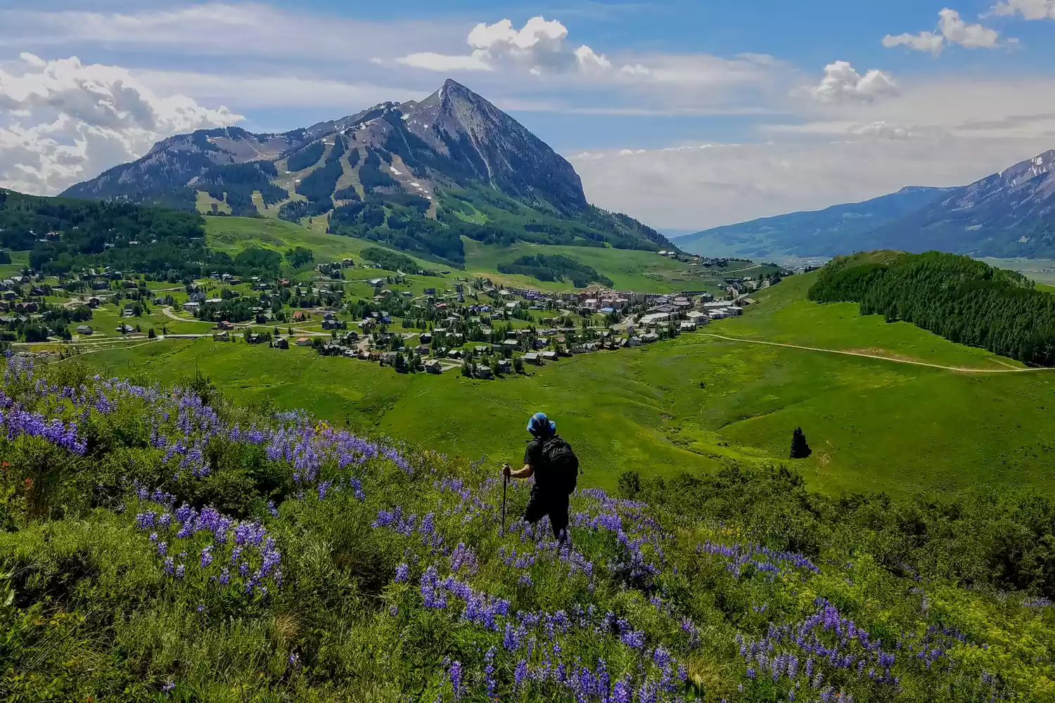 A hiker walking through a lush meadow of wildflowers with a mountain village in the background.