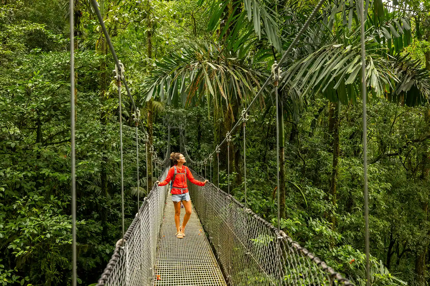 A woman exploring a lush green rainforest from a high suspension bridge in Costa Rica.