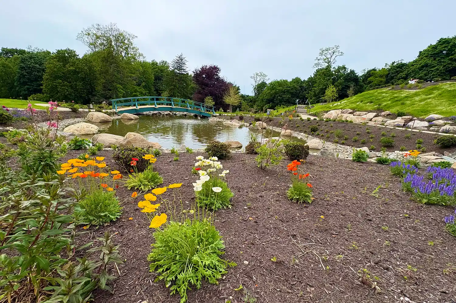 A lush landscape garden with a green footbridge over a pond at Mirbeau Beacon.