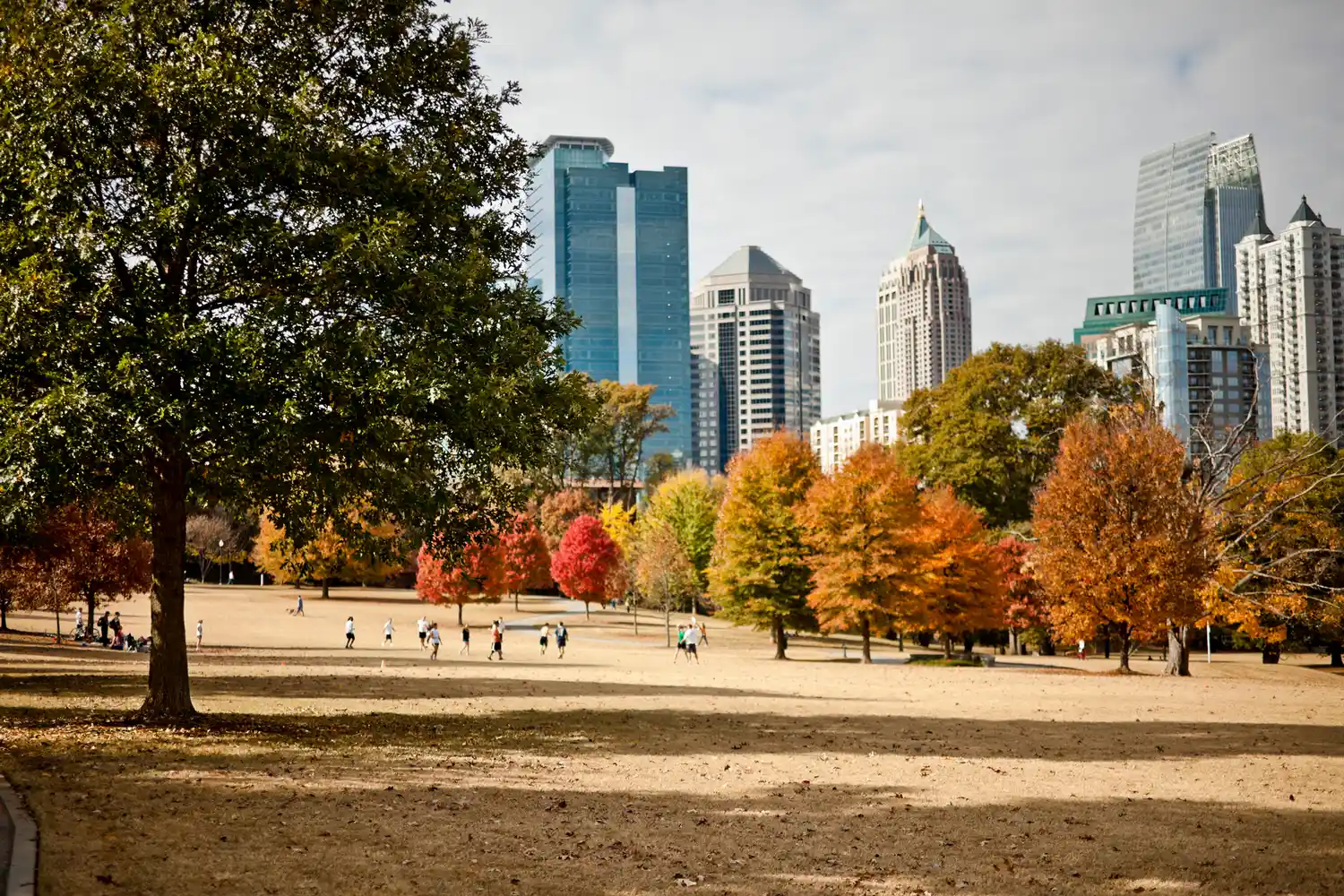 The Atlanta city skyline viewed across the green lawns and trees of Piedmont Park.