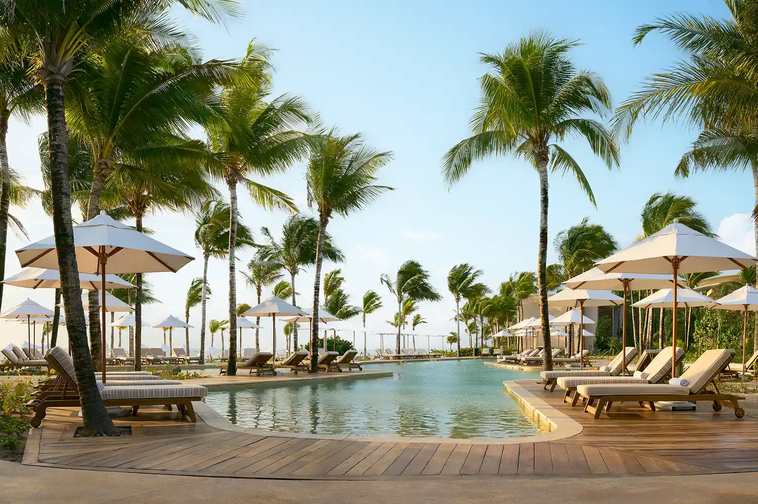 Resort pool area with palm trees, loungers, and umbrellas.