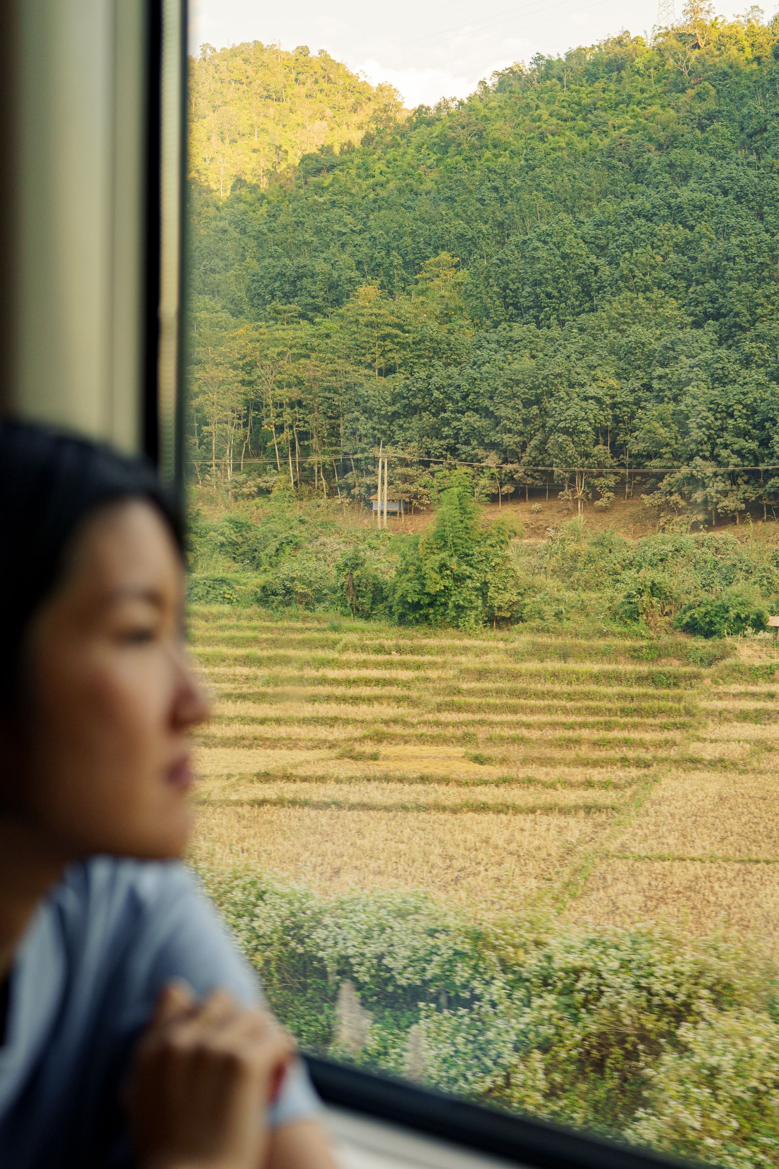 A close-up of a person enjoying the outdoors in a scenic countryside setting in Laos.
